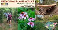 Medicinal Plant Walks