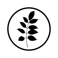 Black Walnut Productions