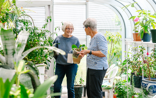 Gallery Image rm_GREENHOUSE.png