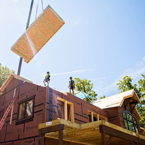 Gallery Image d-1.png