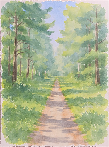 A clear path forward A clear path forward