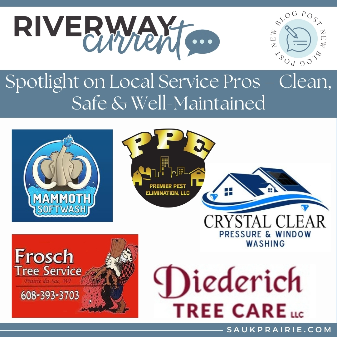 Image for Spotlight on Local Service Pros