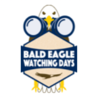 Bald Eagle Watching Days 2.0