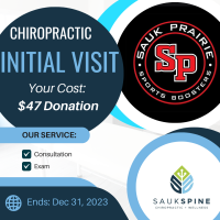 Sauk Spine Chiropractic, Inc. - Sauk City