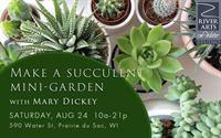 Make a Succulent Mini-Garden with Mary Dickey