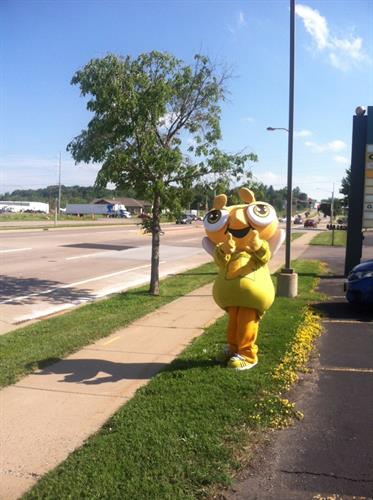 Meet Buford, our mascot at events around Sauk County