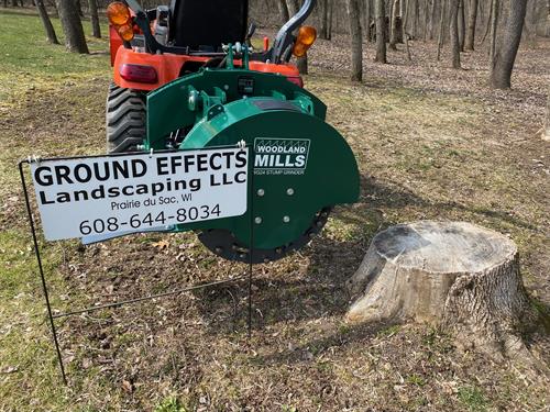 Stump Grinding picture 