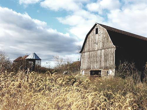 Outdoor barn in a field by Ziegler Photography