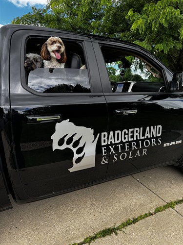 Badgerland Exteriors & Solar is dog friendly :)