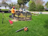Diederich Tree Care LLC