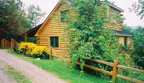 Outdoor view of log cabin 