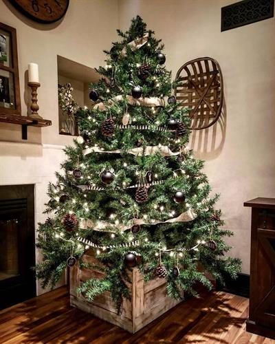 Holiday Tree Box