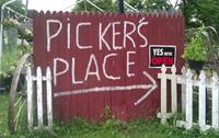 Picker's Place