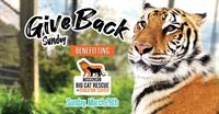 Give back Sunday for Wisconsin big cat rescue & educational center