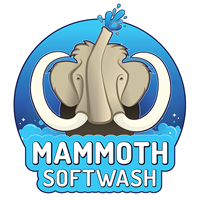 Mammoth Softwash -