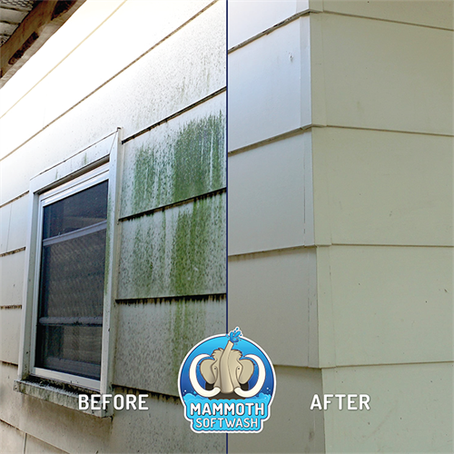 Gentle remove algae growth to maintain integrity of siding.
