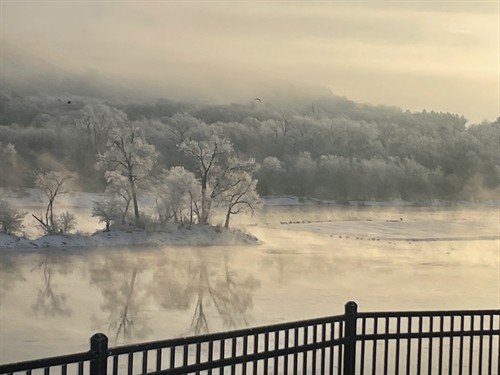 Gallery Image IMG_2822.jpeg