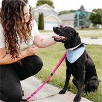 Tail Society Dog Care