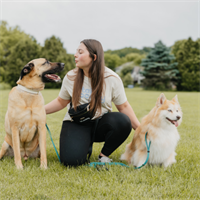 Part-Time Dog Walker