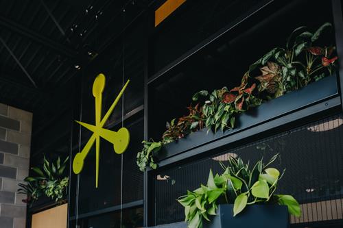 Elevating corporate environments in downtown Des Moines with strategic plant maintenance that reinforces brand presence, enhances employee well-being, and delivers a consistently polished, executive-level workspace.