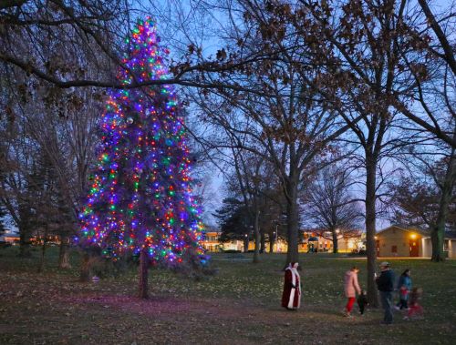 Santa at Lions Park with lit tree 2021