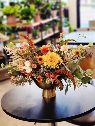 Gallery Image 20250910_083437.jpg