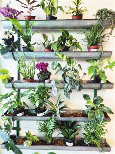 Gallery Image 20260115_093535.jpg