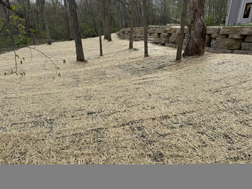 Gallery Image IMG_0916.JPG