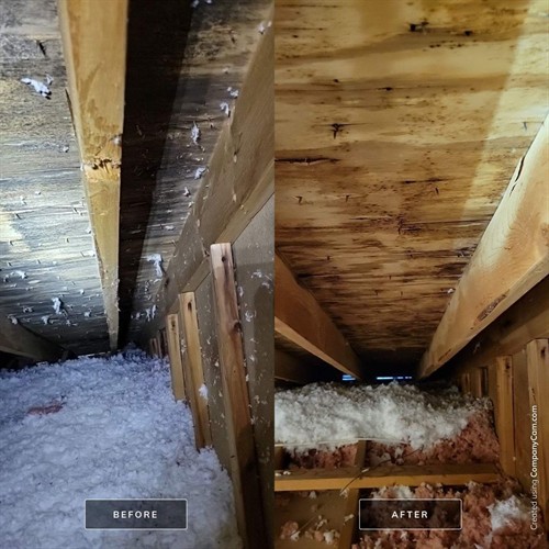 Attic Remediation Attic Remediation