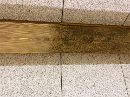 Clean vs contaminated. Clean vs contaminated.