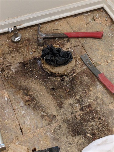 Wax ring leak Wax ring leak