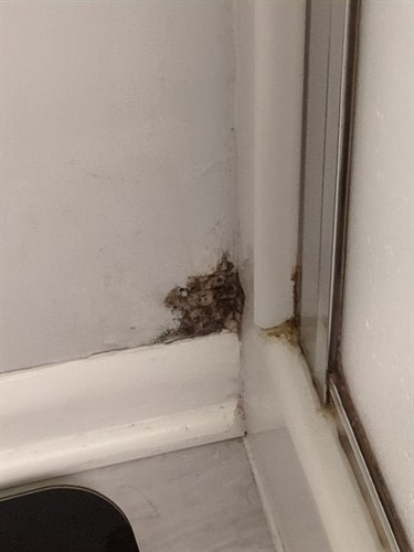 Bathroom shower door growth Bathroom shower door growth