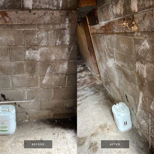 Finding the invisible contamination that needs cleaned. Finding the invisible contamination that needs cleaned.