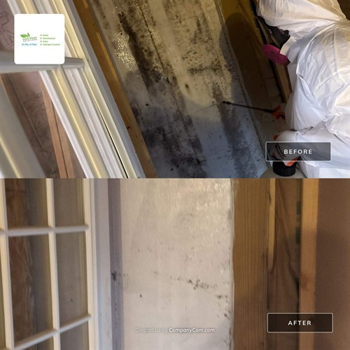 Block wall remediation Block wall remediation