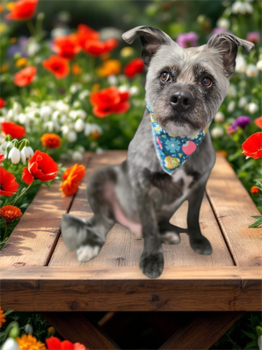 Gallery Image 1000021508.png