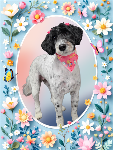 Gallery Image 1000021511.png