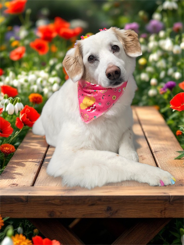 Gallery Image 1000021746.png