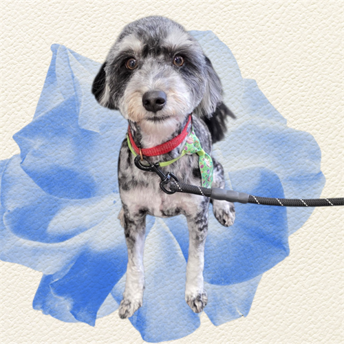 Gallery Image 1000021748.png