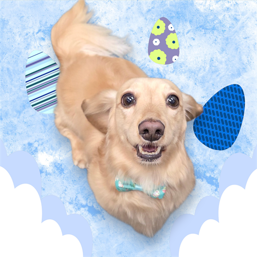 Gallery Image 1000021749.png