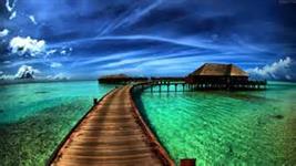 Travel and Transport Vacations Travel and Transport Vacations