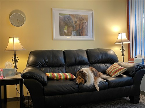 One of the therapy rooms