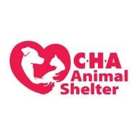 CHA Animal Shelter Paws to Party