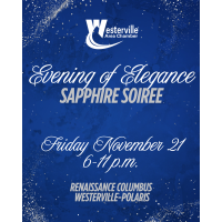 Evening of Elegance | Sapphire Soiree