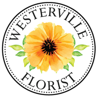 Westerville Florist