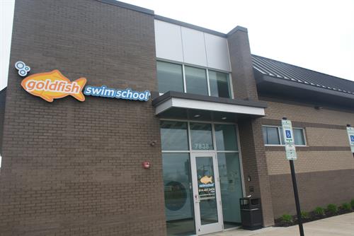 Goldfish Swim School-Lewis Center