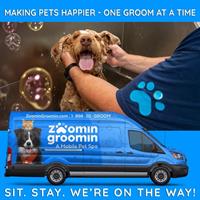 Zoomin Groomin