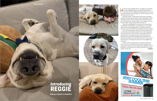 Precious Pet Spotlight