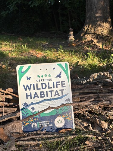 We have certified wildlife habitats for you (and the critters) to enjoy!