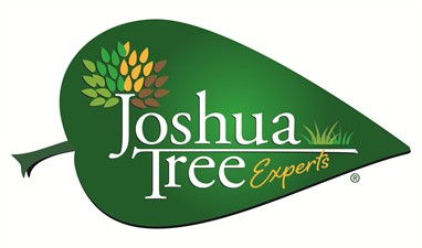 Joshua Tree Experts - North Columbus