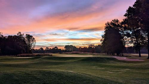 Gallery Image Adam79.jpg